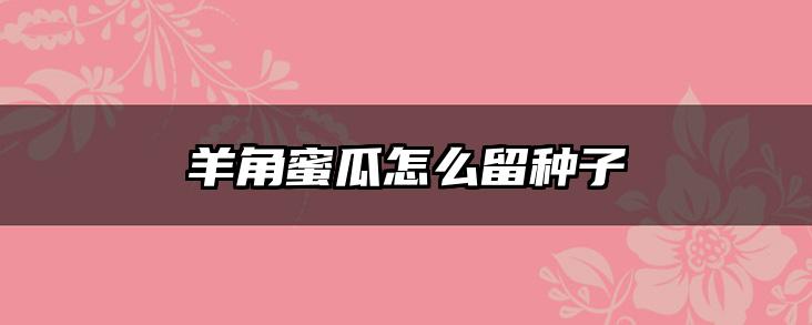 羊角蜜瓜怎么留种子
