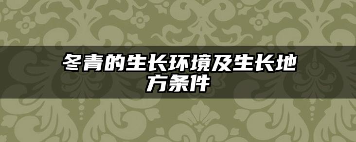 冬青的生长环境及生长地方条件