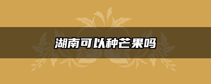 湖南可以种芒果吗
