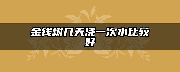 金钱树几天浇一次水比较好