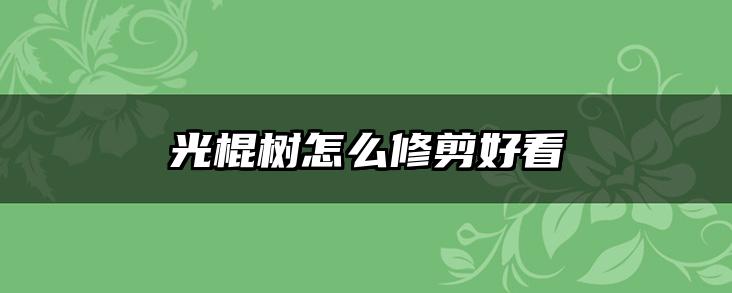 光棍树怎么修剪好看