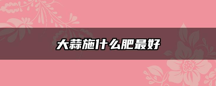 大蒜施什么肥最好