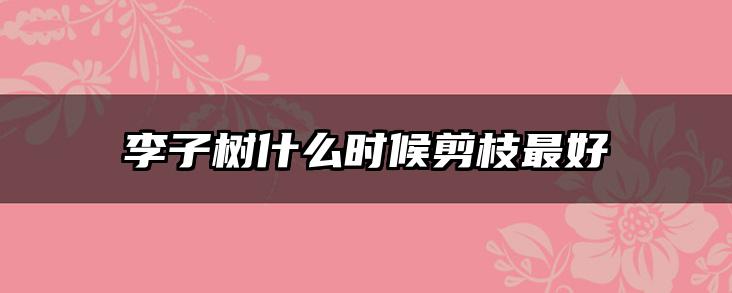 李子树什么时候剪枝最好