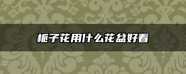 栀子花用什么花盆好看
