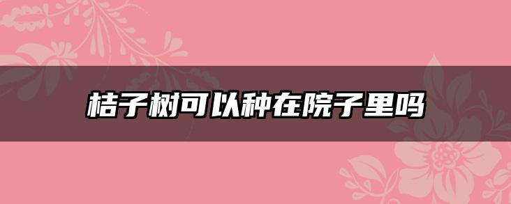 桔子树可以种在院子里吗