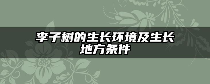 李子树的生长环境及生长地方条件