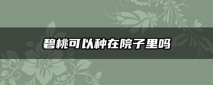 碧桃可以种在院子里吗