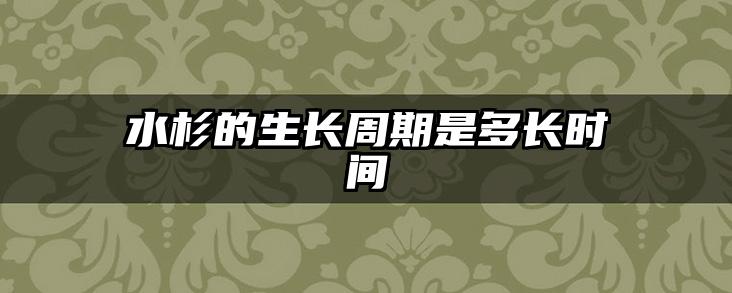 水杉的生长周期是多长时间
