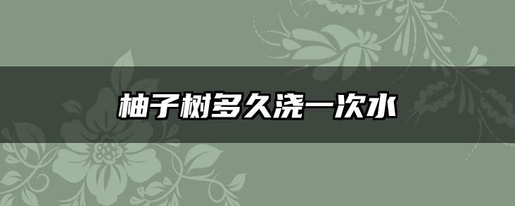 柚子树多久浇一次水