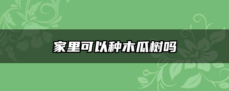 家里可以种木瓜树吗