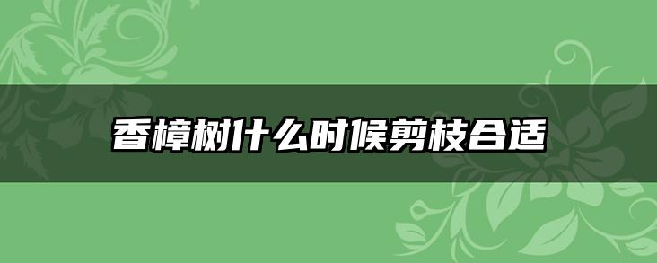 香樟树什么时候剪枝合适