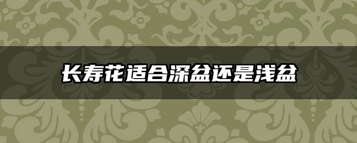 长寿花适合深盆还是浅盆