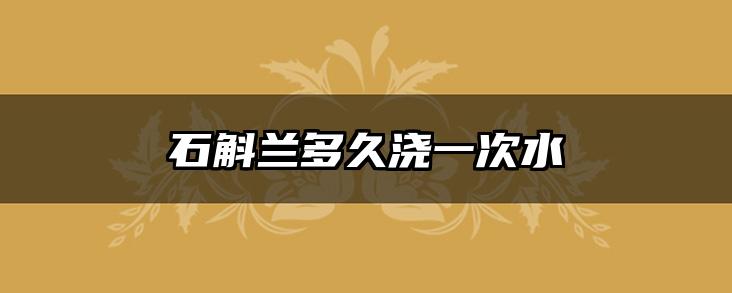 石斛兰多久浇一次水