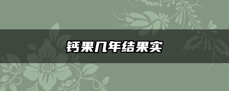 钙果几年结果实