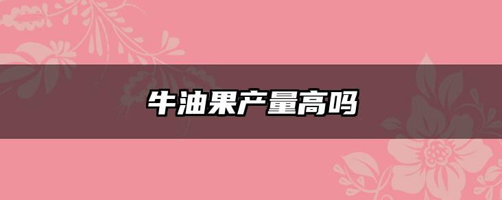 牛油果产量高吗