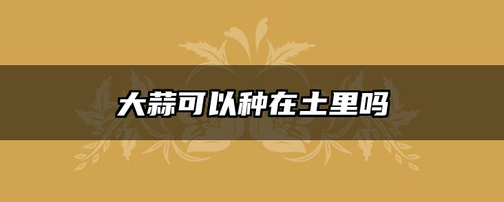 大蒜可以种在土里吗
