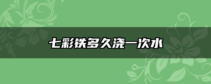 七彩铁多久浇一次水