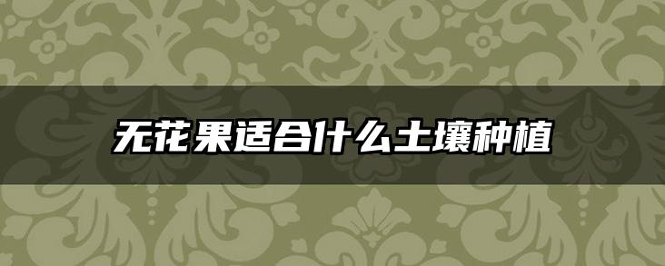 无花果适合什么土壤种植