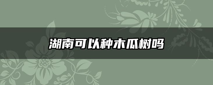 湖南可以种木瓜树吗
