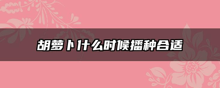 胡萝卜什么时候播种合适