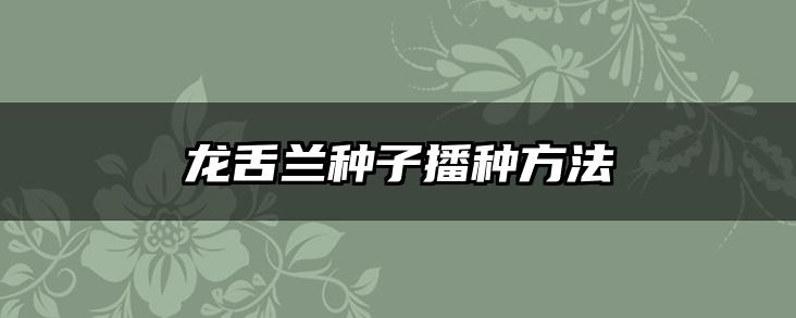 龙舌兰种子播种方法