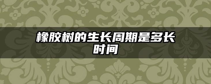 橡胶树的生长周期是多长时间