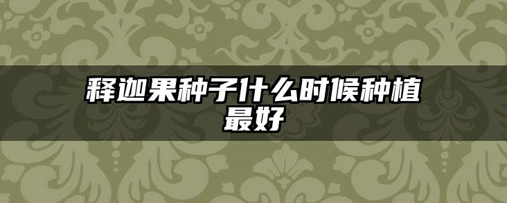释迦果种子什么时候种植最好