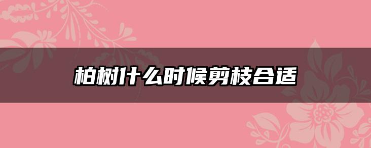 柏树什么时候剪枝合适