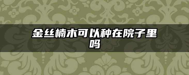 金丝楠木可以种在院子里吗