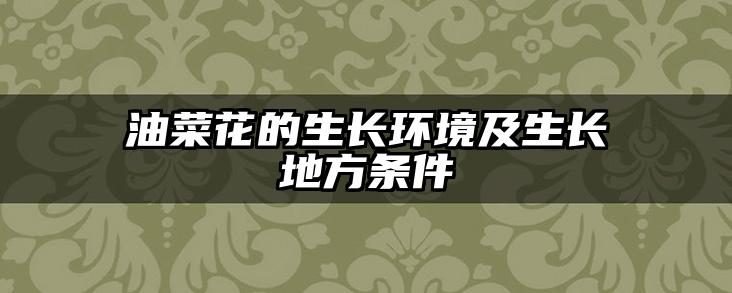 油菜花的生长环境及生长地方条件