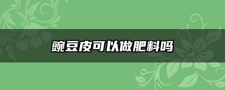 豌豆皮可以做肥料吗