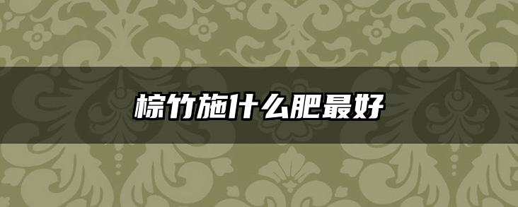棕竹施什么肥最好