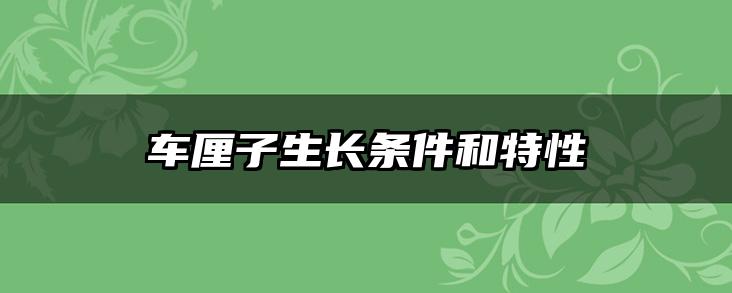 车厘子生长条件和特性