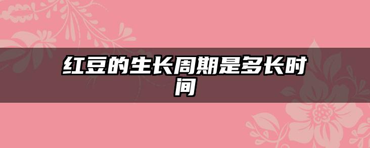 红豆的生长周期是多长时间