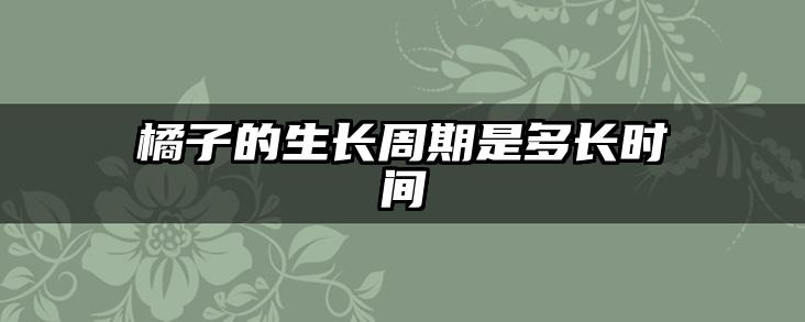 橘子的生长周期是多长时间