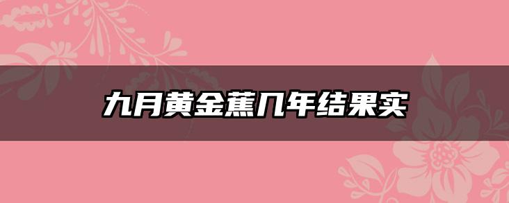 九月黄金蕉几年结果实