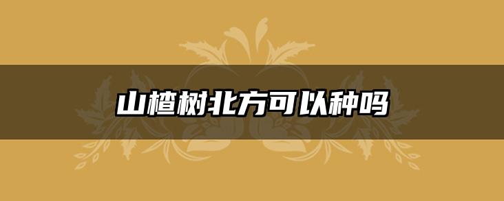 山楂树北方可以种吗