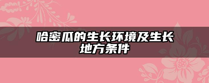 哈密瓜的生长环境及生长地方条件