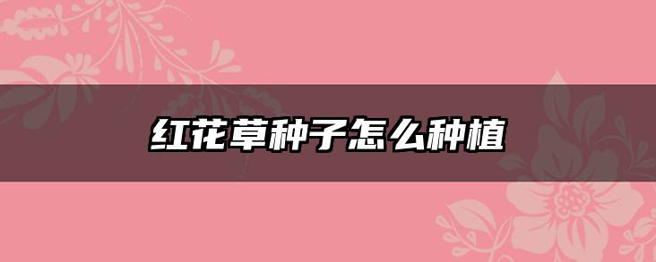 红花草种子怎么种植