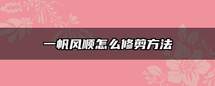 一帆风顺怎么修剪方法