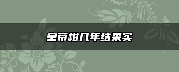 皇帝柑几年结果实