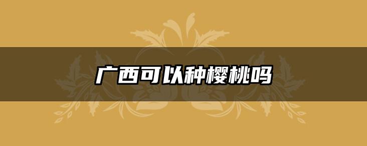 广西可以种樱桃吗