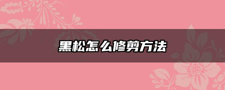 黑松怎么修剪方法