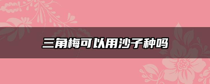 三角梅可以用沙子种吗