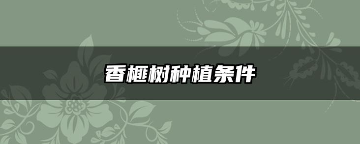 香榧树种植条件