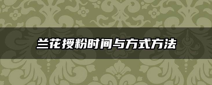 兰花授粉时间与方式方法