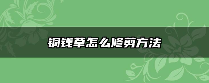 铜钱草怎么修剪方法