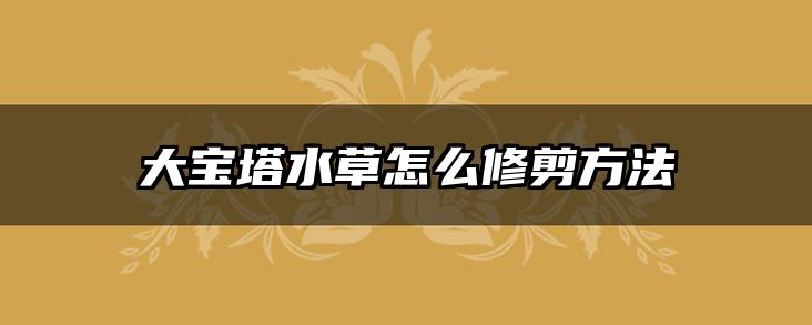 大宝塔水草怎么修剪方法
