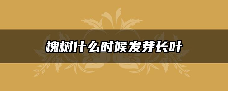 槐树什么时候发芽长叶