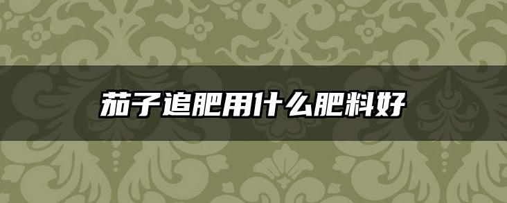 茄子追肥用什么肥料好